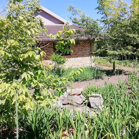 The Red Gate Suite For Garden Route Tranquility George Eksteriør bilde