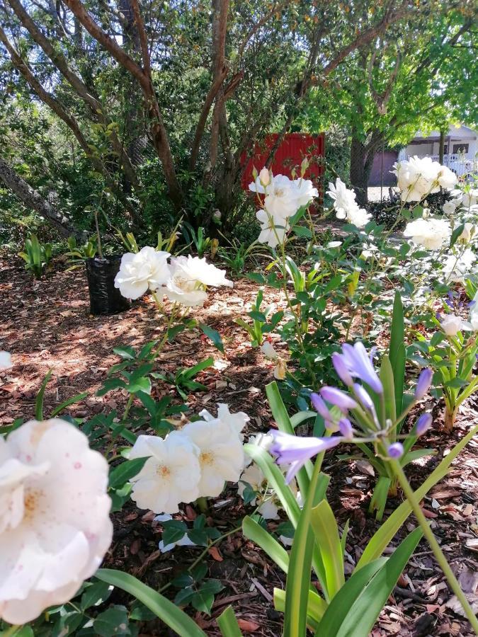 The Red Gate Suite For Garden Route Tranquility George Eksteriør bilde